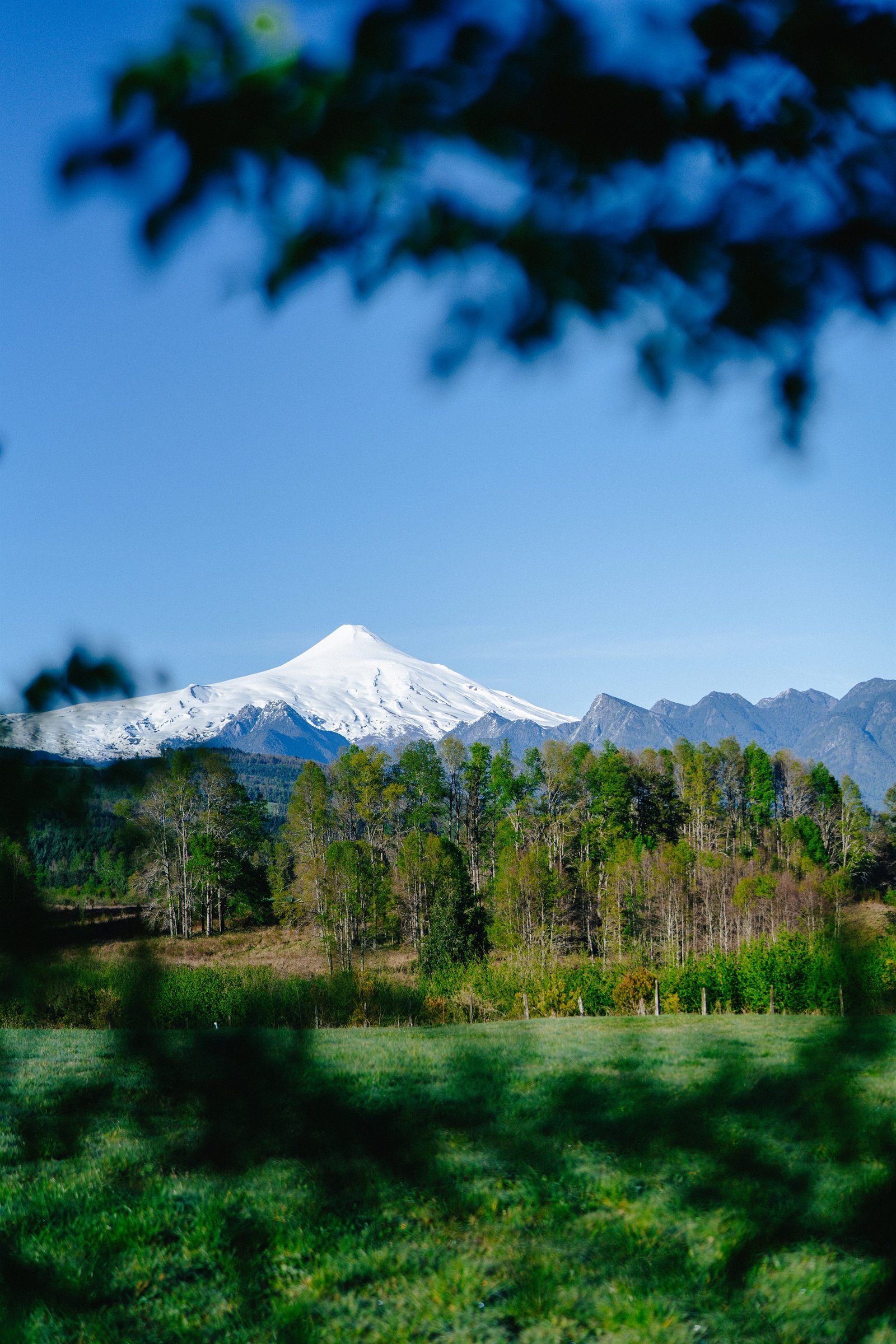 Volcán Villarrica nevado visto desde los campos del condominio El Mañío